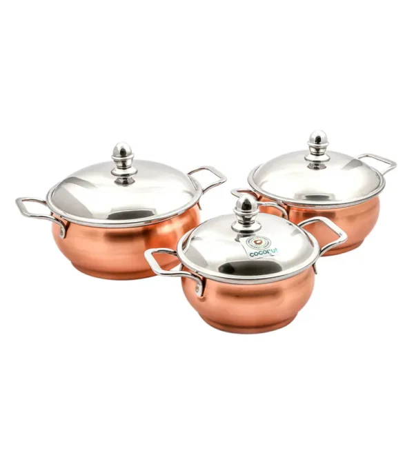 Minar Bronze Stainless Steel Cooking Pot