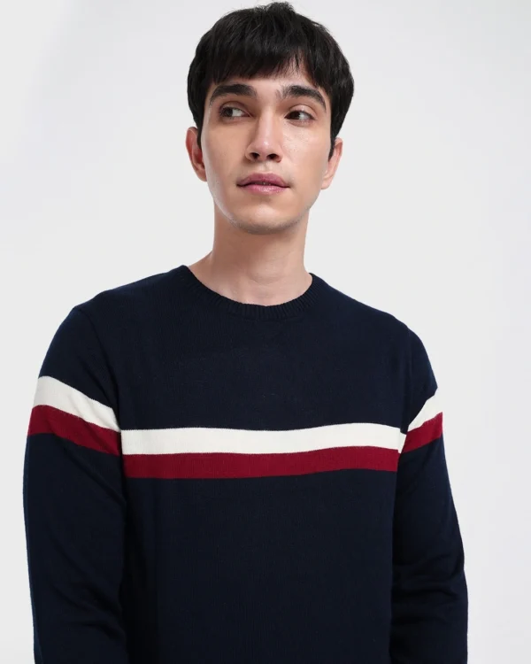 Men's Blue Dual Striped Sweater